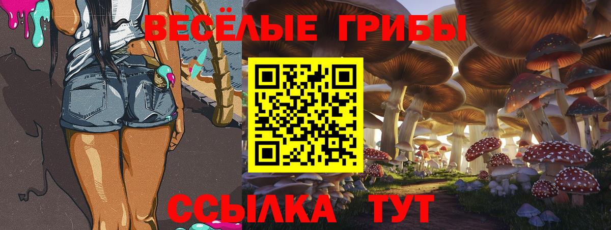 Псилоцибиновые грибы Psilocybe Йошкар-Ола