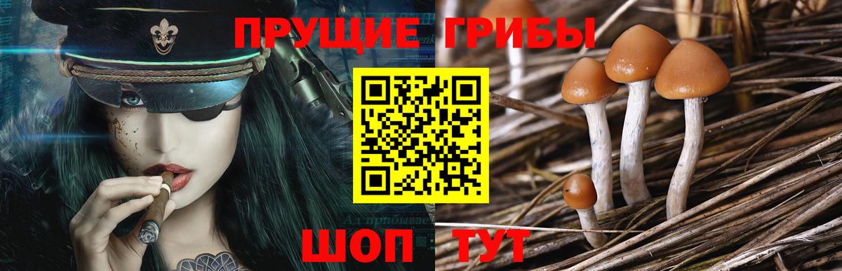 Псилоцибиновые грибы прущие грибы  Галлюциногенные грибы прущие грибы  Вход с VPN  Йошкар-Ола 